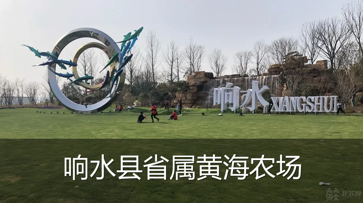 响水县省属黄海农场